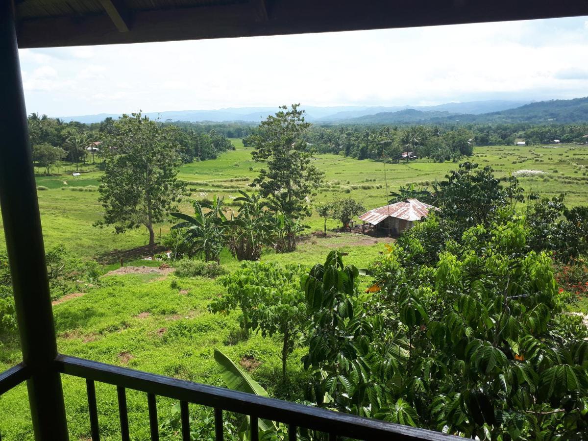 Villa Del Carmen Haven Bohol Экстерьер фото