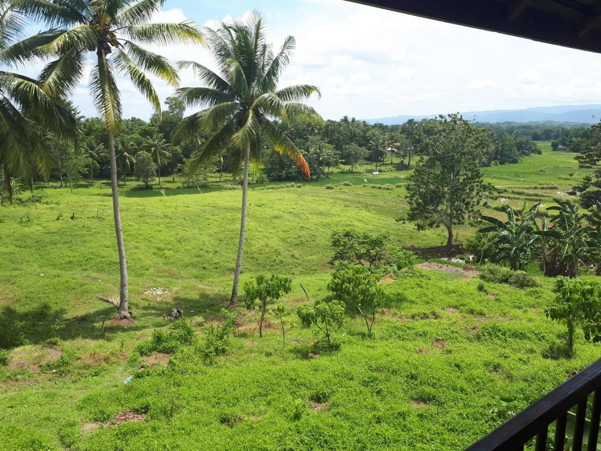 Villa Del Carmen Haven Bohol Экстерьер фото