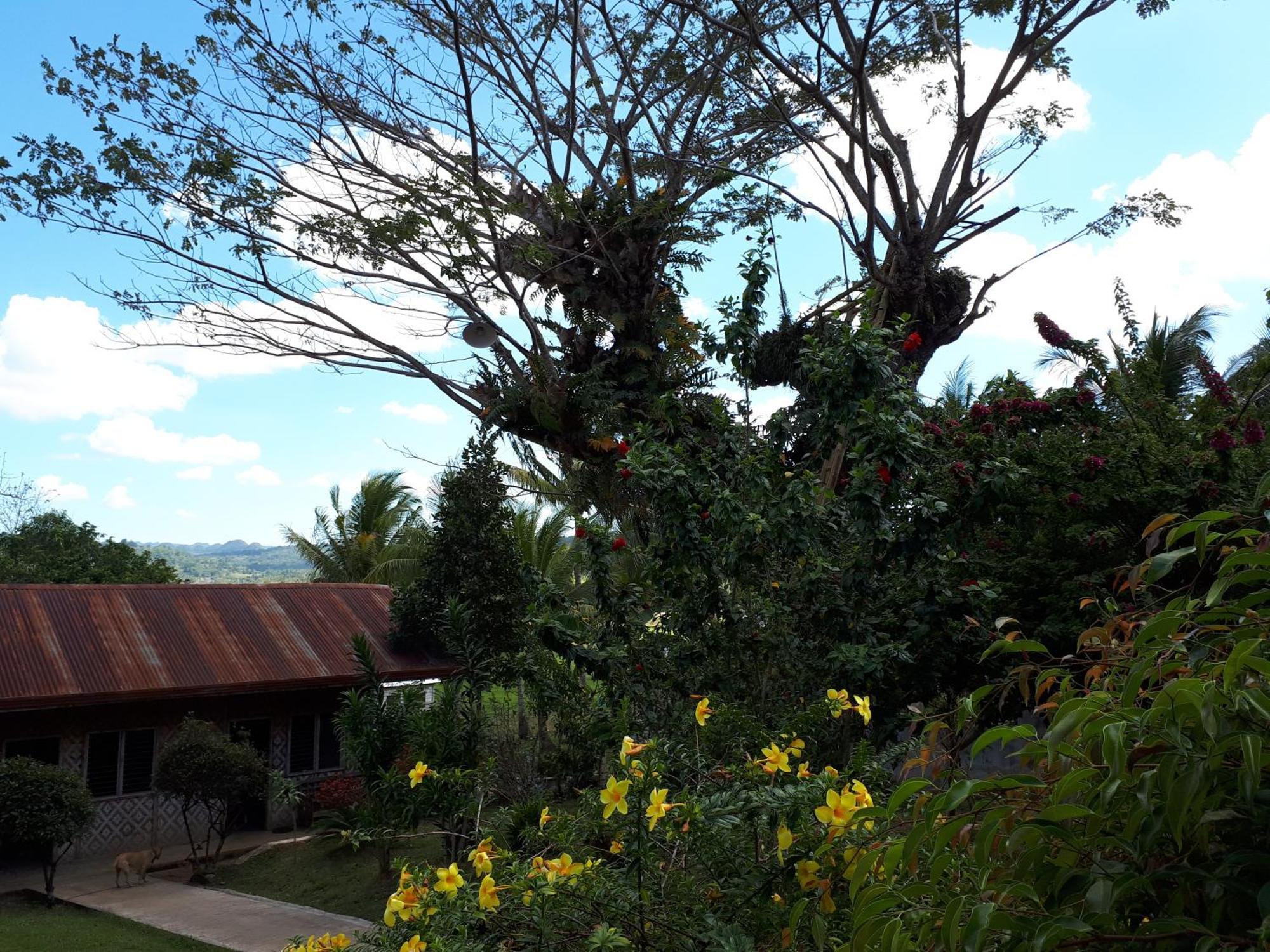 Villa Del Carmen Haven Bohol Экстерьер фото