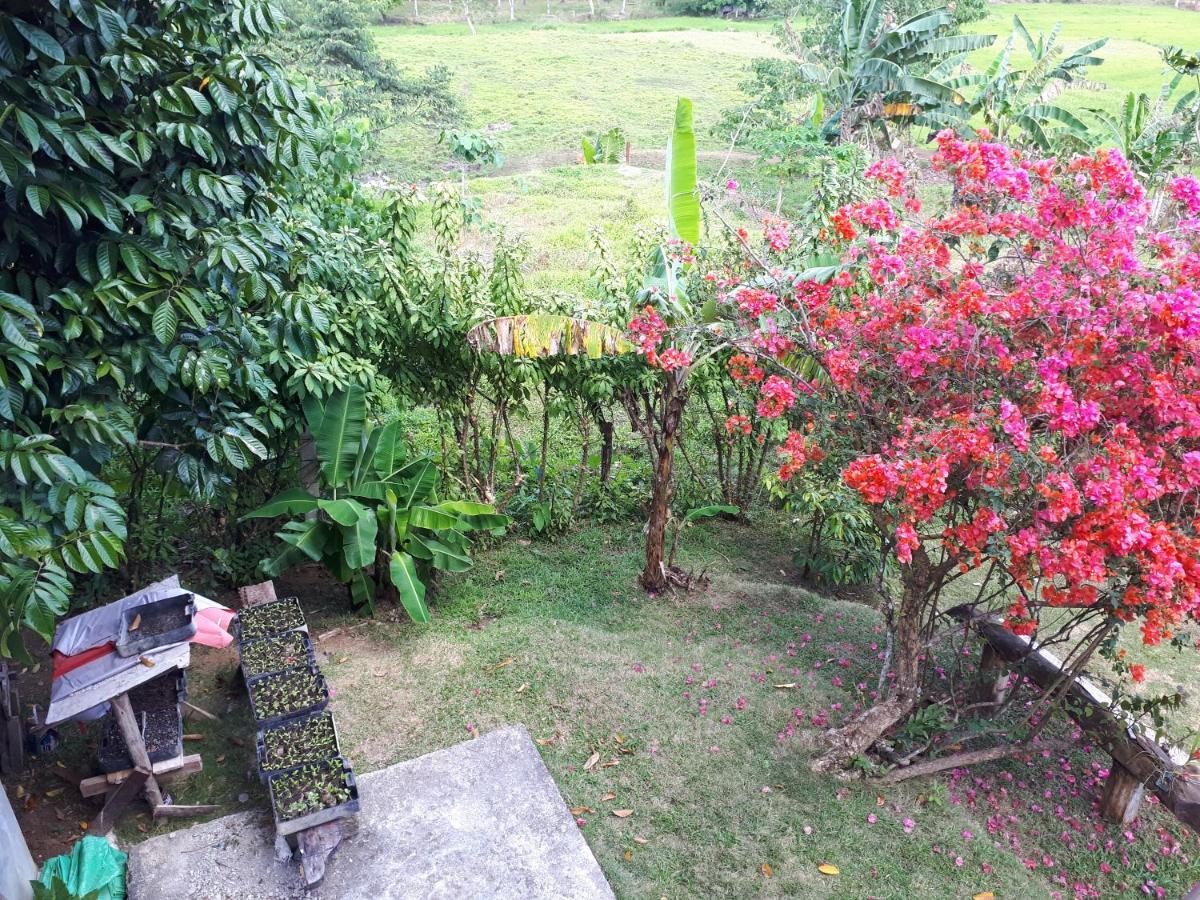 Villa Del Carmen Haven Bohol Экстерьер фото
